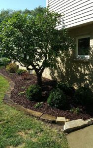 Ross Landcare Landscaping Projects